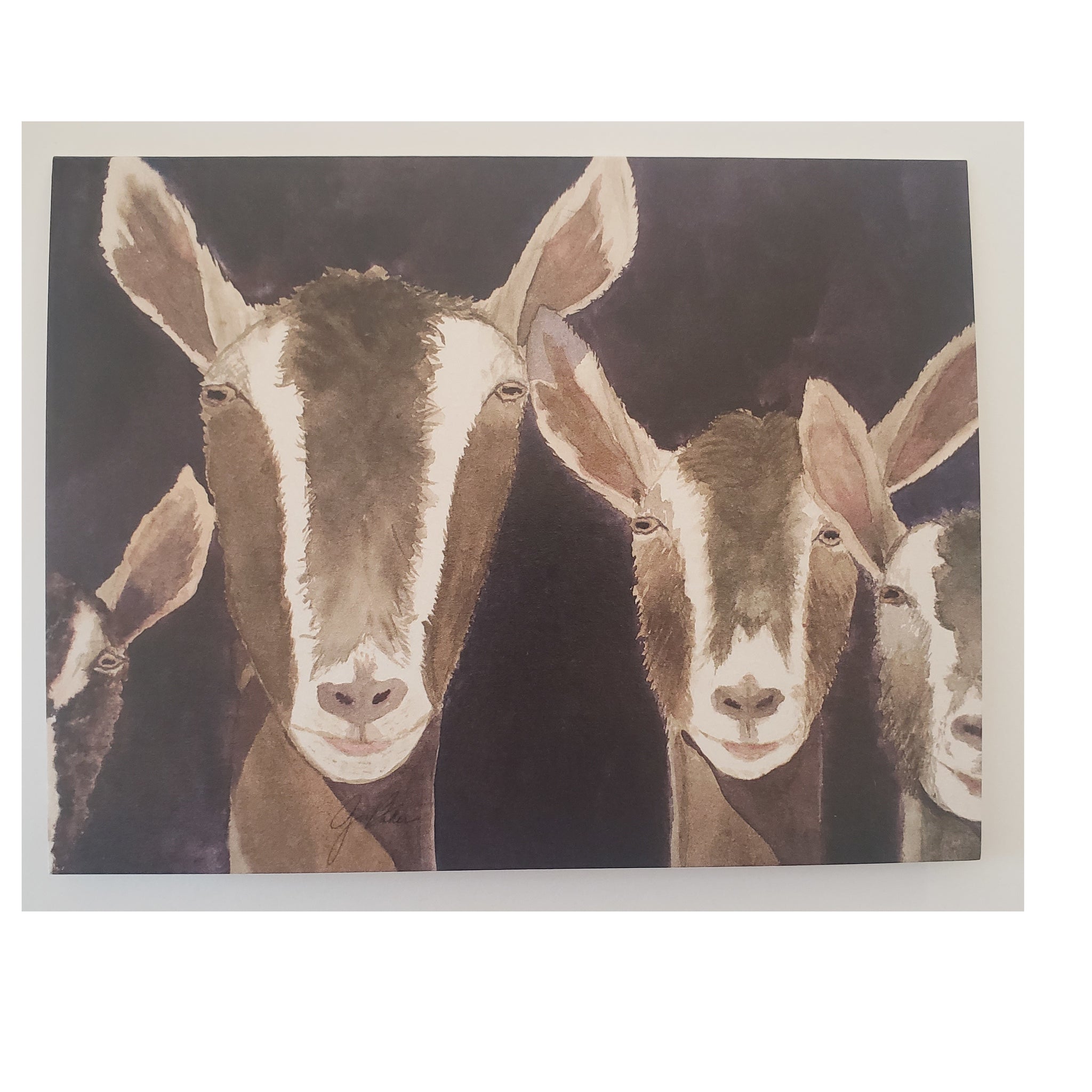 GANG OF GOATS NOTECARDS {3.5x5”} set of 8