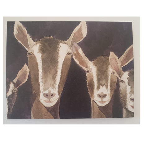 GANG OF GOATS NOTECARDS {3.5x5”} set of 8