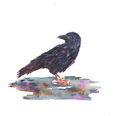 BLACKBIRD