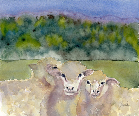 SWEET SHEEP NOTECARDS {3.5x5”} set of 8
