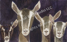 Load image into Gallery viewer, GANG OF GOATS
