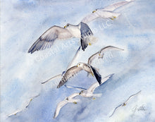 Load image into Gallery viewer, SOARING SEAGULLS
