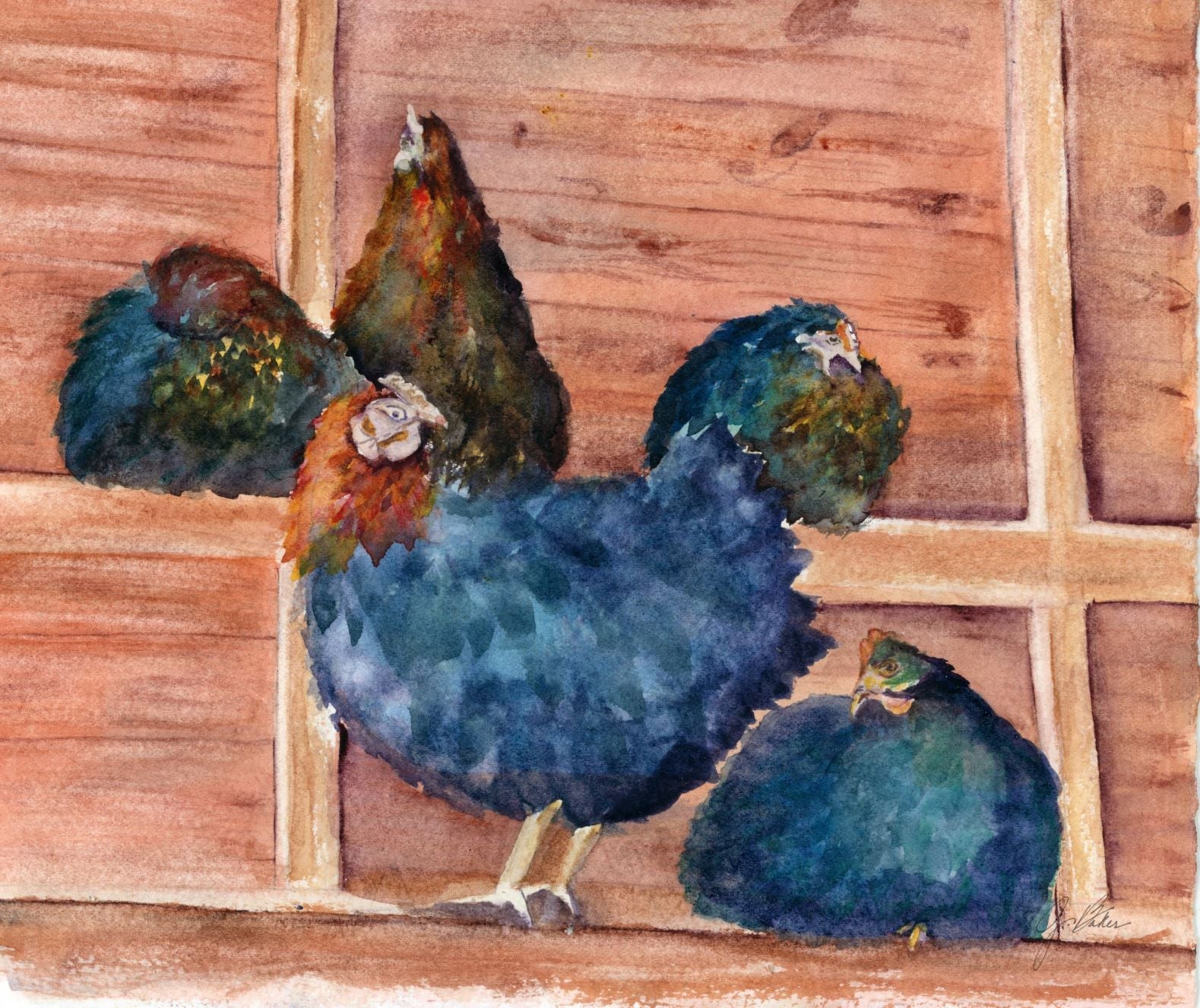 ROOSTING